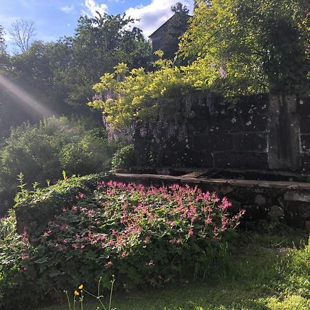 Le Figarelou Thiézac Exterior foto