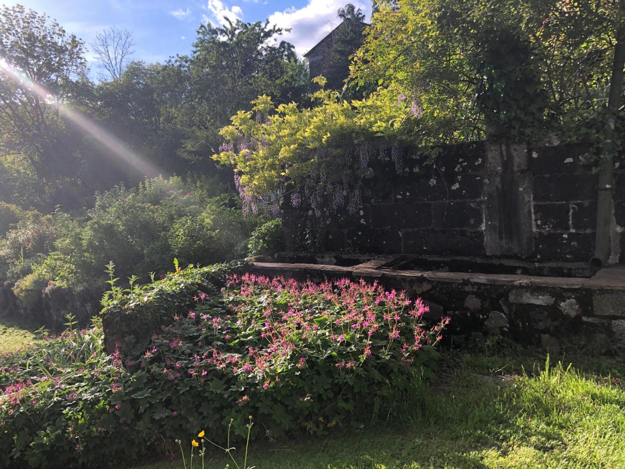 Le Figarelou Thiézac Exterior foto