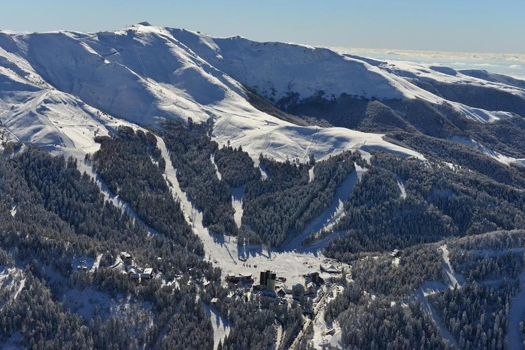 Le Figarelou Thiézac Exterior foto