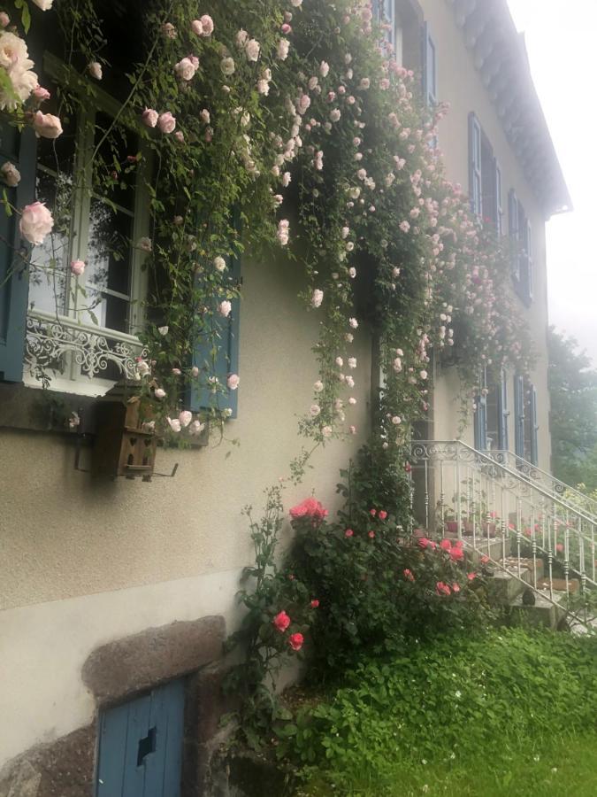 Le Figarelou Thiézac Exterior foto