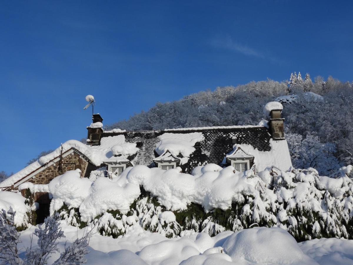 Le Figarelou Thiézac Exterior foto