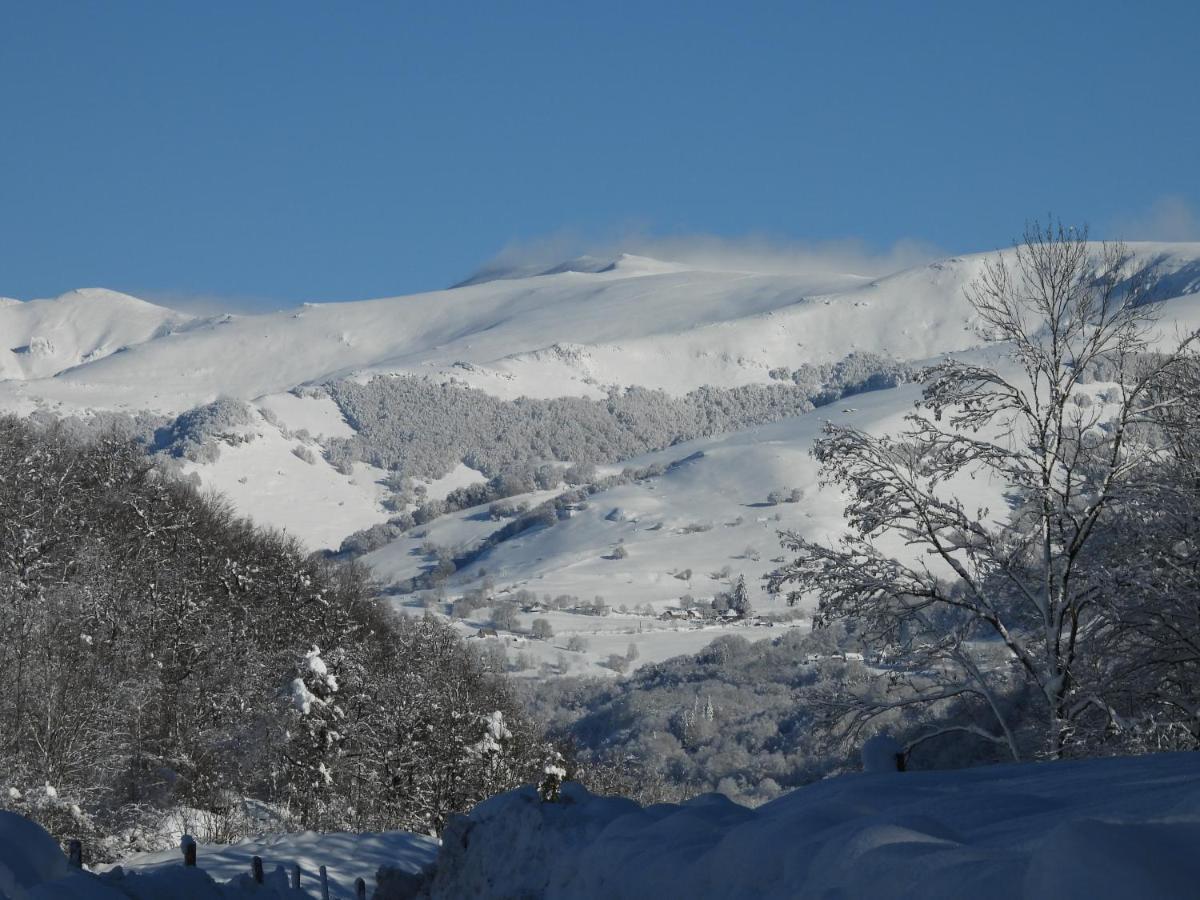 Le Figarelou Thiézac Exterior foto